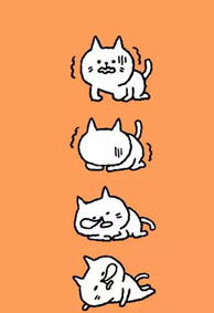 好运小猫卡通微信皮肤简单精选 萌萌哒好运小猫来袭