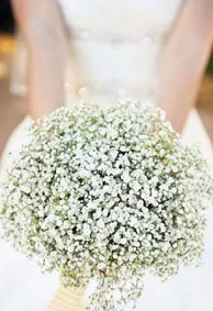 微信皮肤高清唯美婚纱大图个性网 新娘手捧花图片唯美