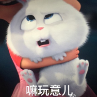 爱宠大机密兔子带字表情包 爱宠大机密兔老大表情包