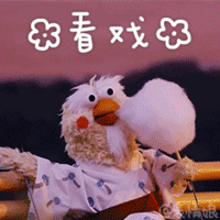 最新鹦鹉兄弟表情包动态版 脆皮炸鸡兄弟gif动态表情包