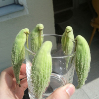 关于水果蔬菜的搞笑图片 成了精的水果蔬菜