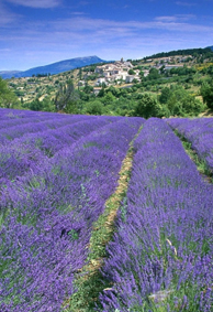 2022最新微信个性透明皮肤唯美风光 走不完的长巷那么长