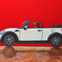 2022最新励志买车的搞笑说说 关于买车的搞笑段子说说