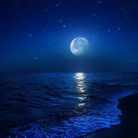 微信个性签名英语带翻译唯美每日最新 在你生命中我只是路人