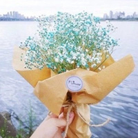 满天星唯美图片想你网发布 爱就疯狂不爱就坚强