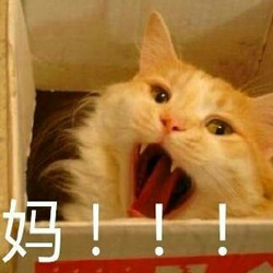 2022母亲节专用表情包呼唤母亲系列 我是母亲的宝贝母亲的甜心