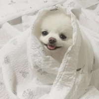 微信空间说说幼稚可爱大全 萌萌哒可爱空间说说