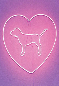 小仙女专属的粉粉聊天背景图 少女心粉色系聊天背景壁纸