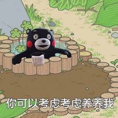 养什么蛙养我啊表情包熊本熊 建议你可以考虑考虑养养我