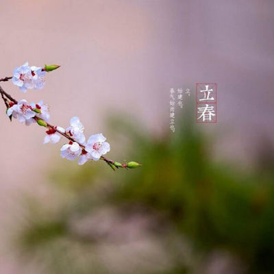 2022有关立春的图片大全带字 立春带字图片2022最新精选