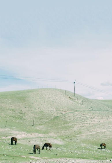 简约唯美风景壁纸图片大全 黑色的人生彩色的杯具