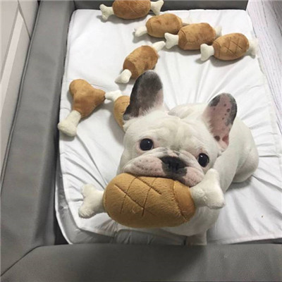 微信朋友圈头像背景图最新2022 只是喜欢何必夸张成爱