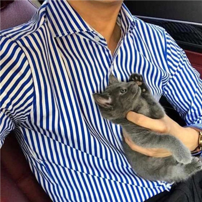 不露脸的男生头像帅气高清图片 愿你迷茫的时候有人能指引你