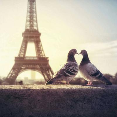 简单小清新微信风景头像高清 愿得一人心免得老相亲