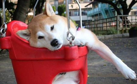 贱一点的搞笑网名个性精选2022 很逗比很贱的个性网名