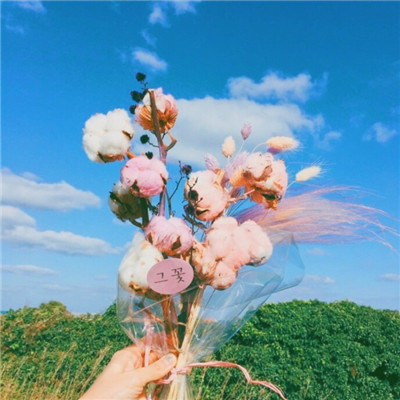 微信唯美好看甜甜的头像图片 好春光不如梦一场