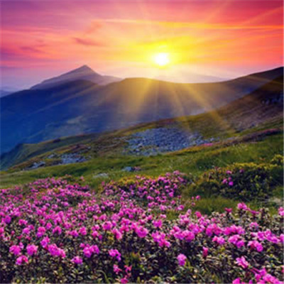 微信最吉利的好看头像图片日出 2022年招财微信头像日出图片