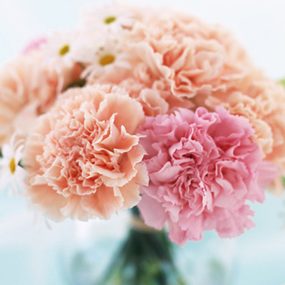 2022母亲节图片康乃馨图片大全 母亲节康乃馨祝福图片大全