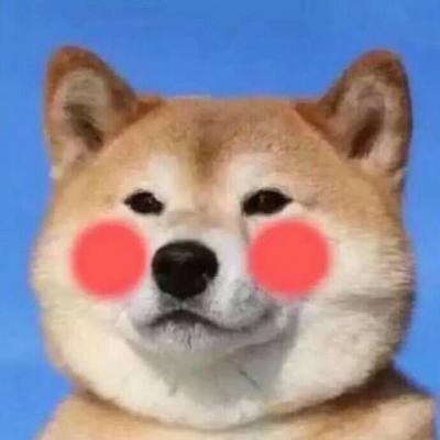 搞怪好玩的网名女生无厘头 春风吹又生气