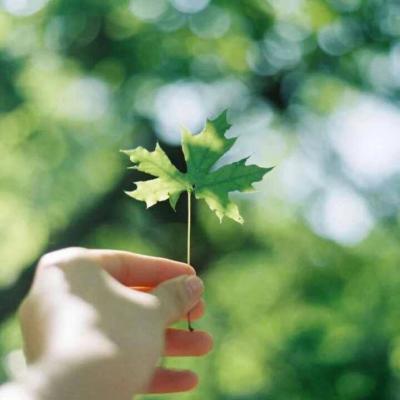 微信昵称女生简短好听英文带翻译精选 Love for a long time