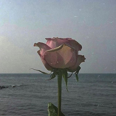 微信朋友圈背景图简约唯美 十七岁那年你弯腰时光不及你眉梢