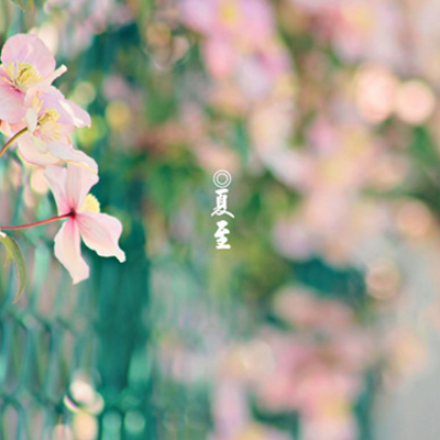2022夏至图片朋友圈图片带字 朋友圈夏至祝福图片大全