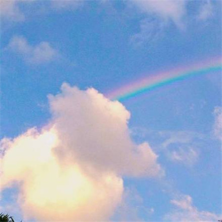 2022微信朋友圈背景图大全清新正能量图片 盛夏如花向阳不变