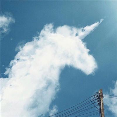 转好运气微信头像图片2022 微信转运头像大全集最新版