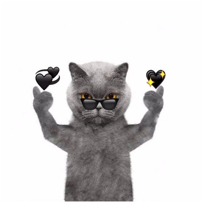 抖音霸气喵星人表情包高清无水印 抖音霸气喵星人微信表情包大全