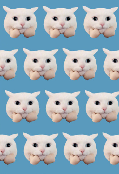 可爱猫咪平铺手机壁纸高清图片大全 怕心里的话吓跑心上的人