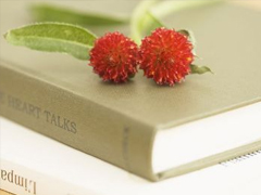 最新微信悲伤网名女生孤单霸气 时光总在嘲笑我的痴心妄想