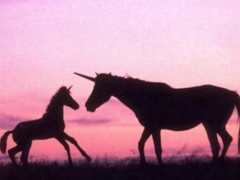 微信经典励志个性签名2022 在哪里存在就在哪里绽放