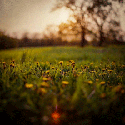 微信风景背景图唯美意境 让爱你的人觉得值得爱你
