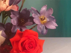 女生网名唯美文艺2022最新 玻璃年华