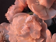 女生带好运的微信名字 好听充满好运的微信网名