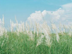 微信个性签名大全励志奋斗 愿你所到之处遍地阳光