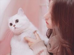 小清新女生网名2022 夏末的晨曦