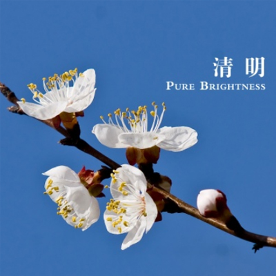 2022清明节图片大全唯美带字 清明朋友圈配图简单