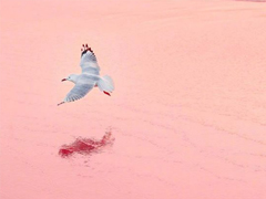 微信励志个性签名致自己 2022写给自己的经典励志签名