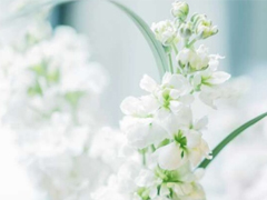 2022八月微信个性签名伤感大全 心里感觉到难过的悲伤签名