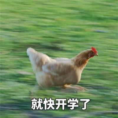开学表情包搞笑图片 2022微信不想开学表情包
