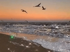 微信个性签名霸气冷酷非主流 得理为什么要饶人