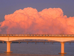 直入你心里的优美文案 单曲循环的歌词里都是遗憾