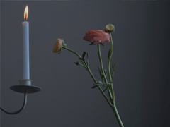 文化人骂人不带脏字的签名 最高级的骂人签名