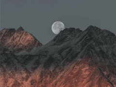 2022最新二月微信伤感签名 二月心情的伤感句子