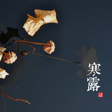 2023寒露节气发朋友圈的唯美图片 月白寒露等候归家