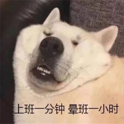 让你看到后没烦恼的好笑聊天表情 很有氛围感的经典表情合集