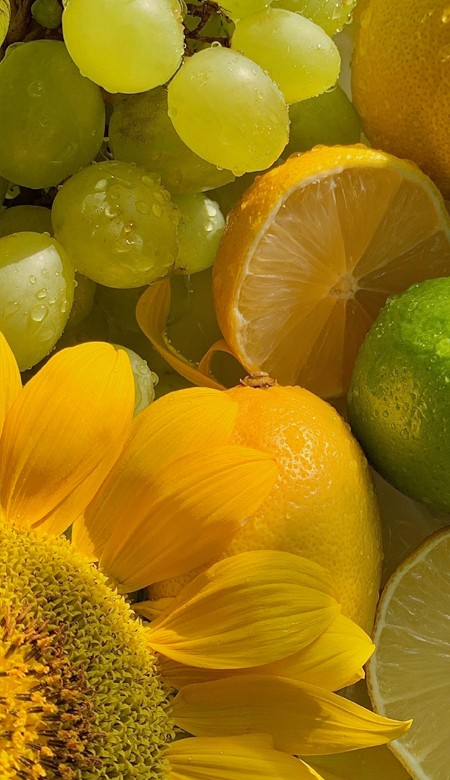 很唯美也很舒心的看起来很惬意的壁纸 生活里的温柔每天都要开开心心