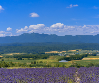 失望签名短句最新版 很难过的失望签名