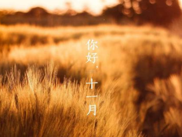 2023十一月励志朋友圈短句 十一月精辟又励志的文案